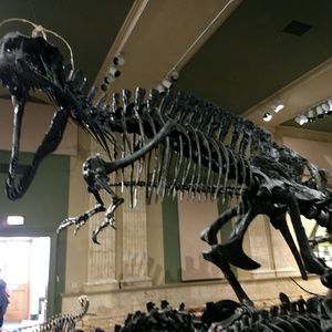 Meet your Posher, Tim